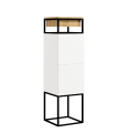 AA257_Szafka pionowa wysoka (2).png