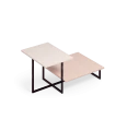 ROSE_Obszar roboczy 1.png