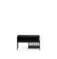 AA455 REGALY TORRES Short RTV.png
