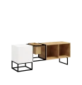 AA250_Szafka RTV (2).png