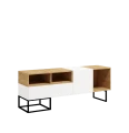 AA252_Szafka RTV szeroka (1).png