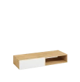 123_Obszar roboczy 1.png